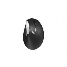 Безжична ергономична мишка RAPOO EV250, image 