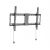 Gembird стенна стойка за телевизор TV Mount - WM-80F-01 - 37"-80", 70 kg, image 