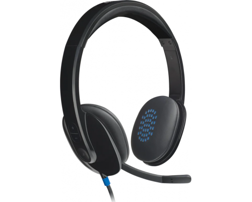 Headphones Logitech H540, USB, image 