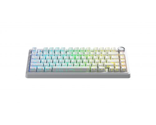 Aula Wireless Gaming Mechanical Keyboard F75HE - Black King Magnetic Switch [Linear] (English US), White, image , 4 image