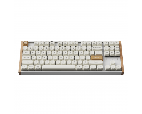 Mechanical Keyboard Keychron K8 HE Magnetic Switch - White Special Edition, image , 3 image