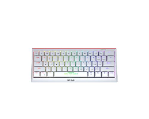 Marvo Gaming Mechanical keyboard 61 keys TKL Hecate 61R WH - KG962G White - RED switches, RGB (English US), image 
