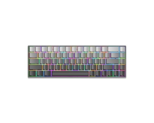 White Shark Gaming Mechanical Keyboard NUNCHAKU - Red Switches (English US), Grey, image 