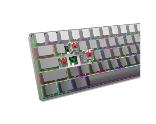White Shark Gaming Mechanical Keyboard NUNCHAKU - Red Switches (English US), Grey, image , 5 image